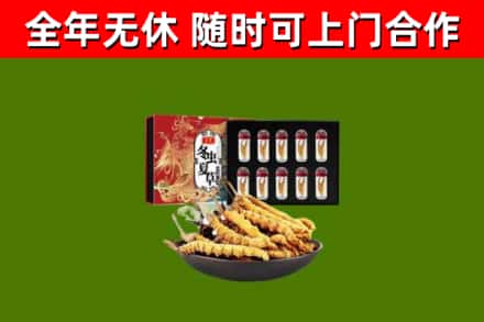 蓟州回收冬虫夏草价格
